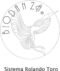 logo_biodanza_vec